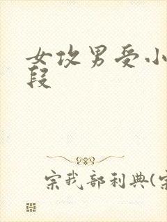 女攻男受小说片段封面