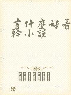 有什么好看的高干小说