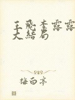 王飞李露露小说大结局