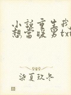 小说重生我真没想当暖男txt