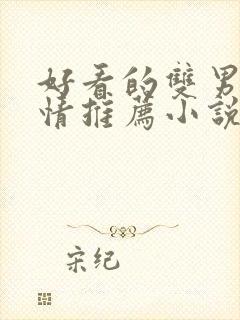 好看的双男主言情推荐小说