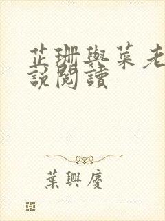 芷珊与菜老板小说阅读