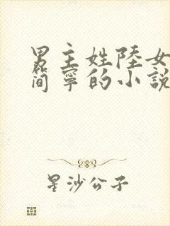 男主姓陆女主叫简宁的小说