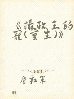 《摄政王的心头宠(重生)》