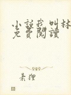 小说我叫林小喜免费阅读