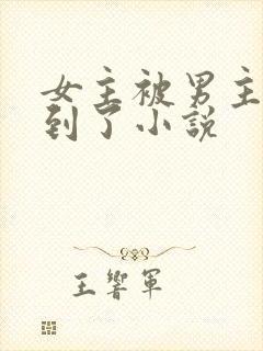 女主被男主们找到了小说