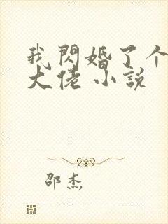 我闪婚了个财阀大佬 小说封面