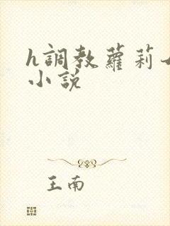 h调教萝莉母狗小说