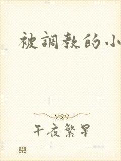 被调教的小母狗封面