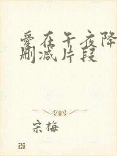 爱在午夜降临前删减片段封面