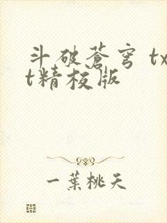 斗破苍穹 txt精校版封面