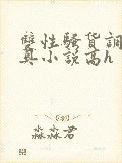 双性骚货调教道具小说高h