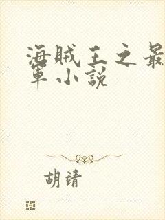 海贼王之最强海军小说