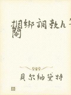 捆绑调教h笔趣阁封面