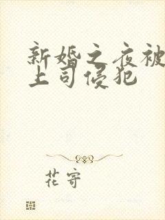 新婚之夜被夫的上司侵犯封面