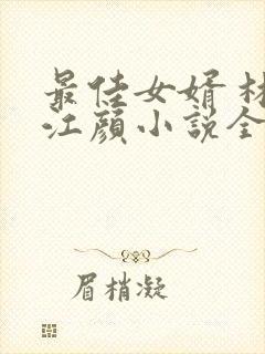 最佳女婿 林羽江颜小说全文免费阅读顶点