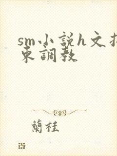 sm小说h文拘束调教