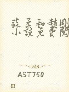 苏柔和赵刚林风小说免费阅读