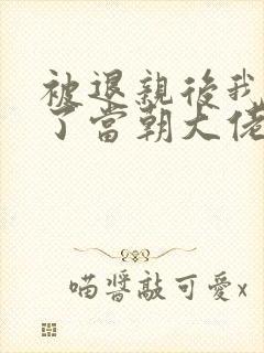 被退亲后我嫁给了当朝大佬 小说