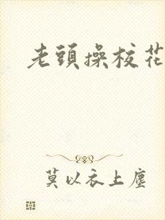 老头操校花小说封面