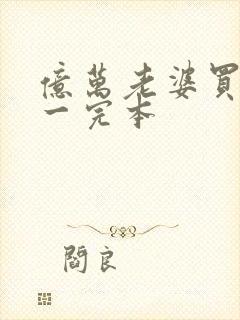 亿万老婆买一送一完本封面