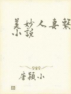 美妙人妻系列 小说