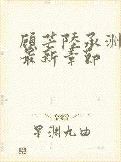 顾芒陆承洲小说最新章节封面