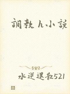 调教 h小说