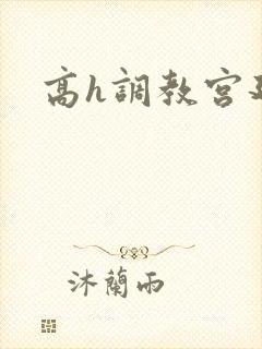 高h调教宫廷