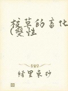 校草的畜化调教(双性