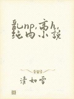 乱np,高h,纯肉小说封面