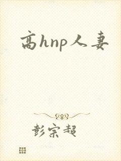 高hnp人妻
