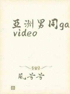亚洲男同gay video