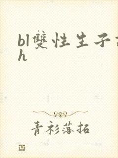 bl双性生子高h封面