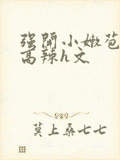 强开小嫩苞h文高辣h文