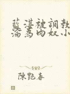 蓝湛被调教喷水沦为肉奴小说