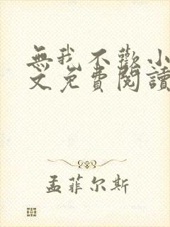 无我不欢小说全文免费阅读