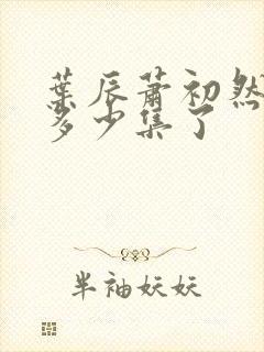 叶辰萧初然更新多少集了封面