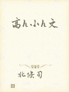 高h小h文