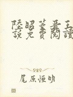 陆昭菱晋王的小说免费阅读