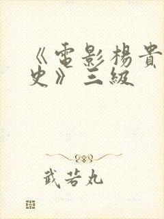 《电影杨贵妃淫史》三级