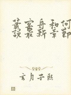 萧宴舟和何夕小说最新章节更新