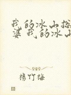 我的冰山总裁老婆 我的冰山总裁老婆