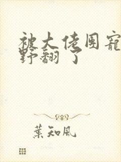 被大佬团宠后我野翻 了