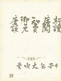 唐卿知席斯年小说免费阅读最新章节