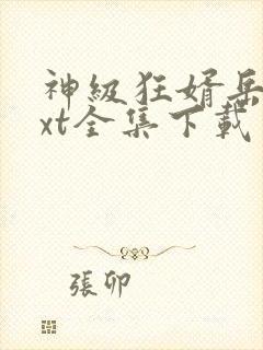 神级狂婿岳风txt全集下载