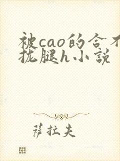 被cao的合不拢腿h小说