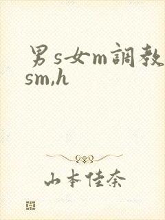 男s女m调教(sm,h