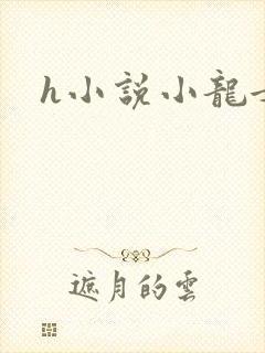 h小说小龙女