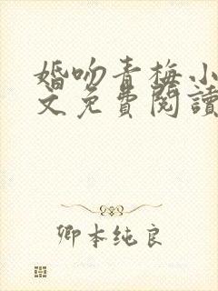 婚吻青梅小说全文免费阅读封面